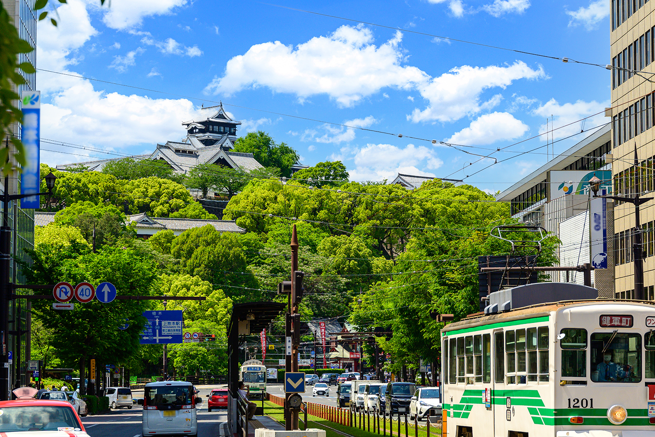 地域密着の知識と広がるネットワーク